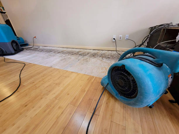 Professional Water Removal technician working in Pine River, WI